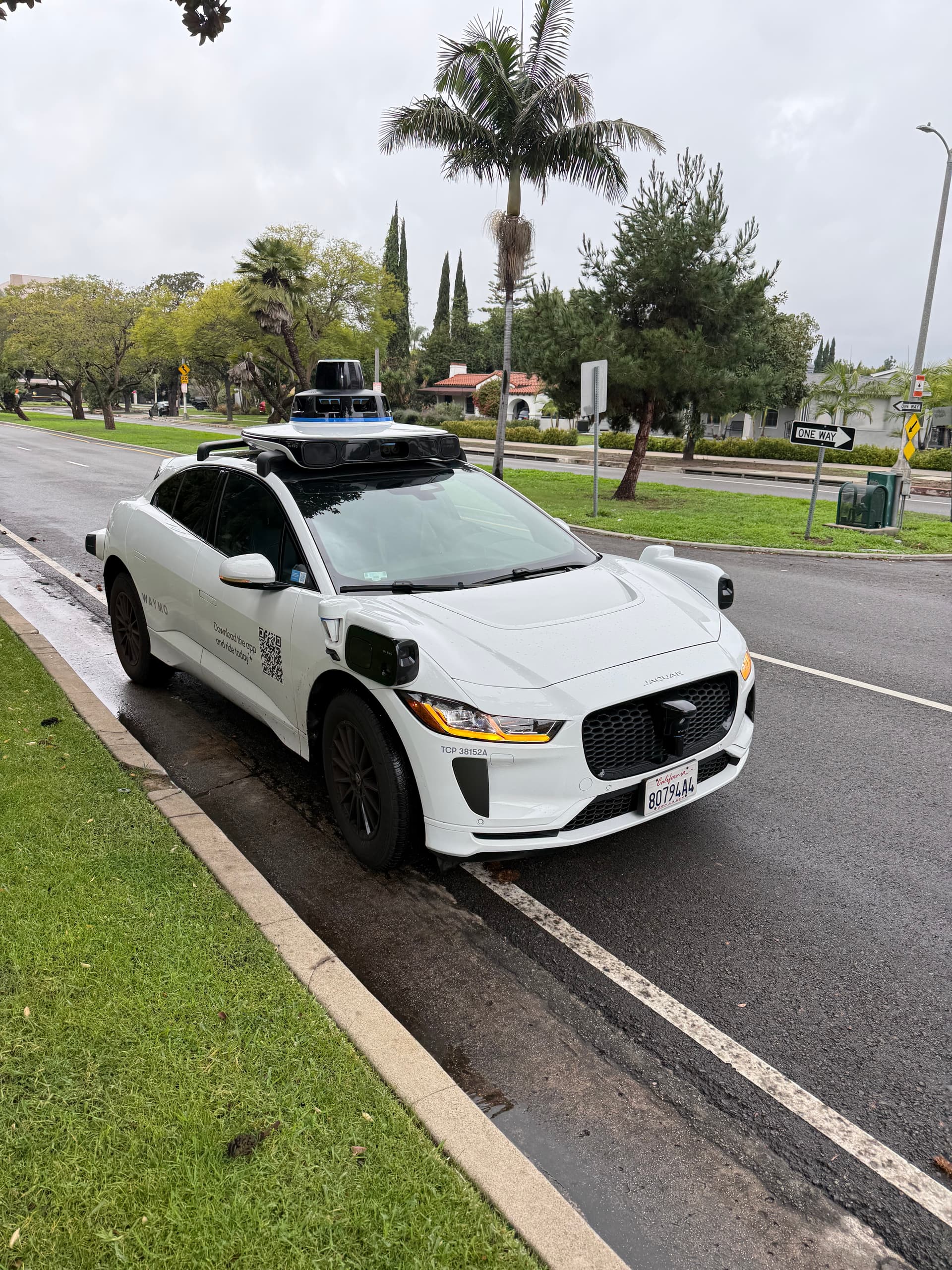 Sports car by the palm trees