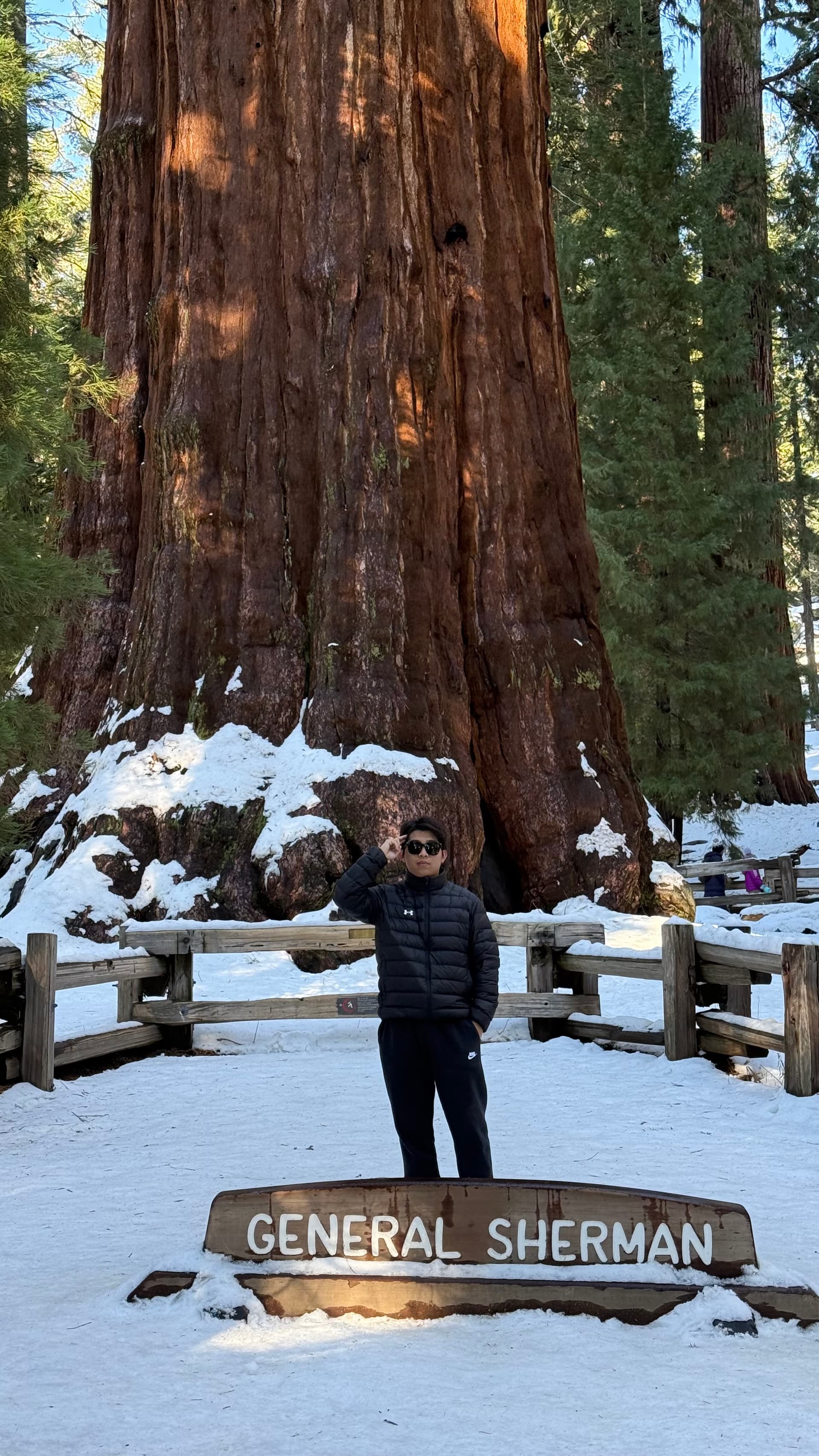 General Sherman Tree