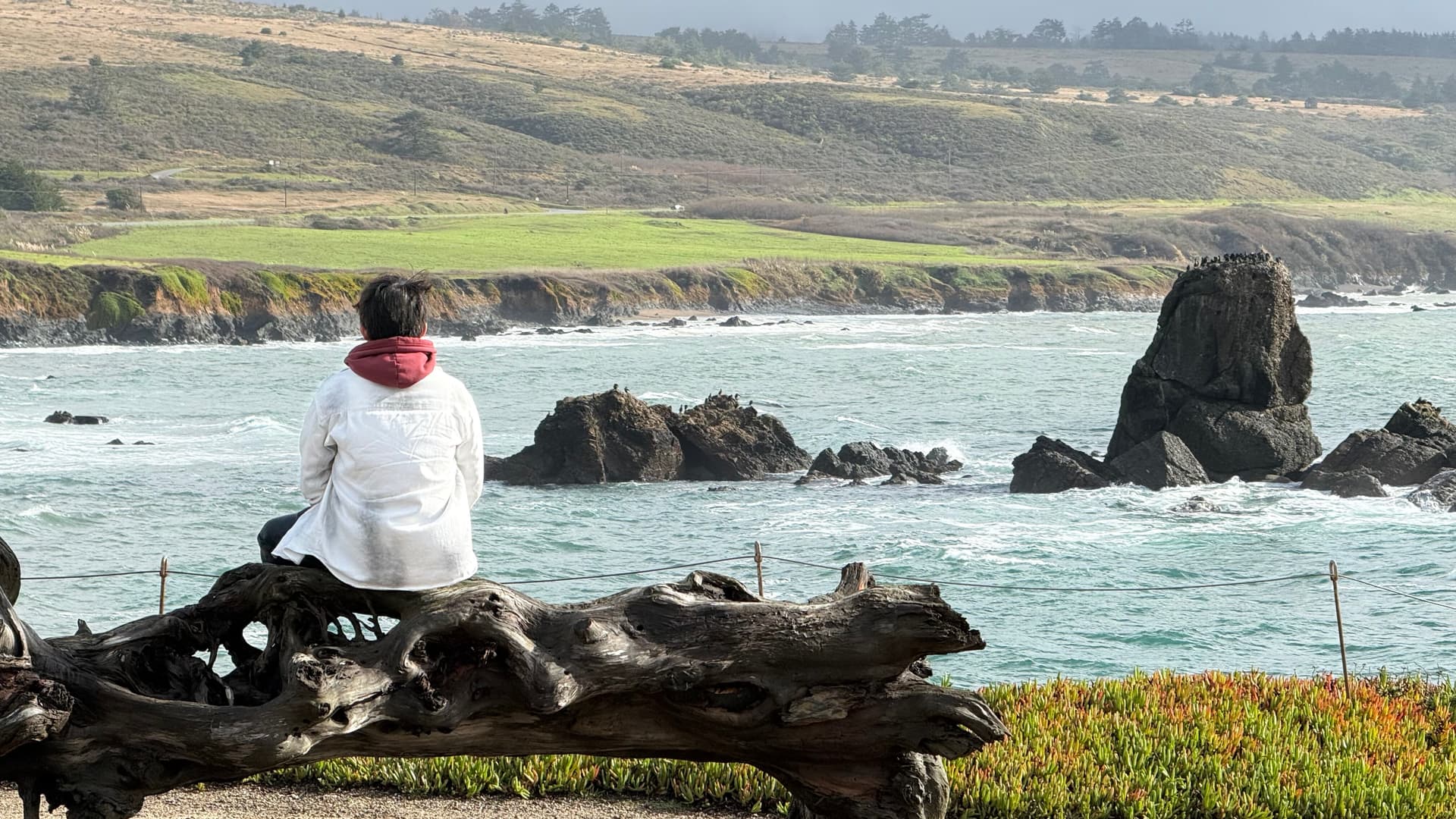 Pacific coast viewpoint