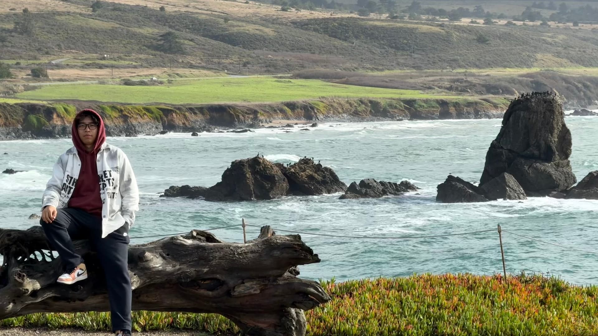 Pacific coast viewpoint