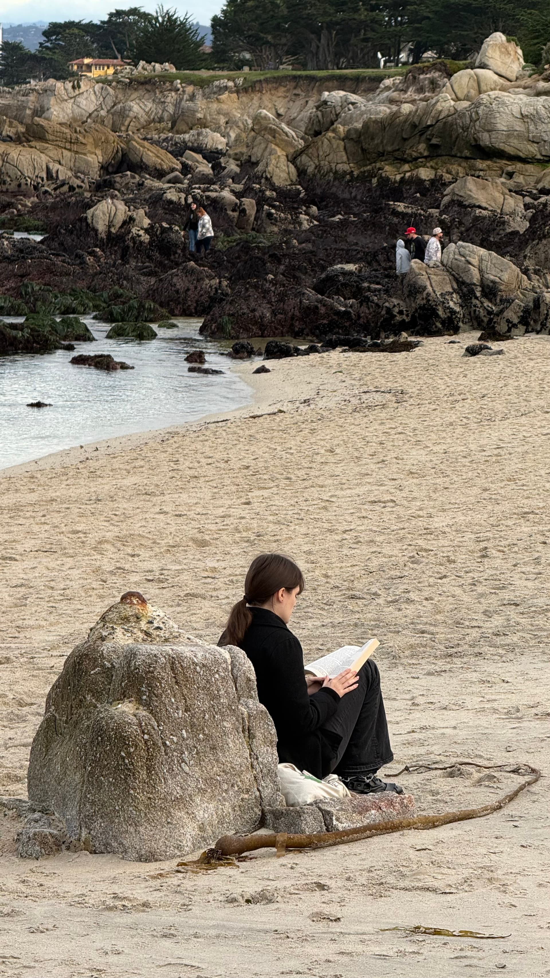 Beach rock portrait